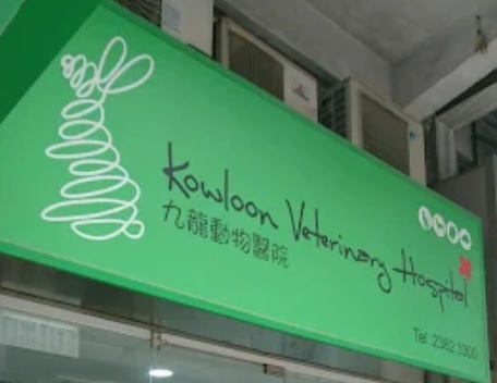 查看更多寵物店: 寵物藥房 - 九龍動物醫院[九龍城]